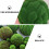 kunstmosbal decoratie microlandschap tuinversiering groen 10