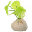 Décor Réaliste Pot Céramique Ambiance Paisible 6