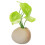 Décor Réaliste Pot Céramique Ambiance Paisible 7