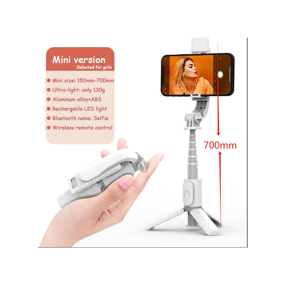 (Mini Selfie Stick) New 3 In 1 Bluetooth Selfie Stick, Foldable And Protable Sturdy Tripod With One Fill Remote, Rechargeable, Portable Compati Light 5031332485208