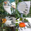Fruit picker, 1 fruit picker, metal, with bag, cherry picker, diameter 16 cm (silver) 5