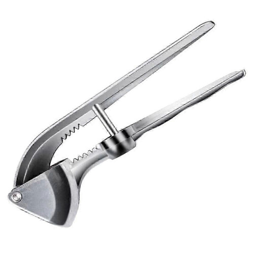 Practical Stainless Steel Garlic Press for Kitchen (Silver) 1