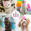 30 hond strikjes feest, haaraccessoire decoratie 7