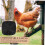 Chick Brooder Box Pads 4-Pack Soft Nesting Box Pads For Chicken Coop Bedding Compatible With Standard Nesting Boxes 5