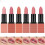 (Type#3) Bsimone Matte Lipstick Texture Moisturizing Lasting Non-fading Smooth Non-card 2