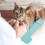 Plastic Cat Food Squeezer Sky-Blue Compact Feeding Spoon 8