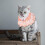 Collier Chat En Dentelle Rose Avec Tissu 4