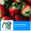 One Set Vegetable Fruit Chopper Hand Press With 6