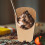 50 -Halter Becher, Einweg- -Halter, To-Go-Snackboxen 8