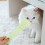 2St Kattenstrip Knijplepel ABS Lichtgroen 4