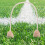 5Pièces Cerceaux Croquet Remplacement Coton Beige Base Bois 5