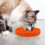 Interactive Silicone Slow Feeder Dog Bowl With Suction Cup Bottom 10