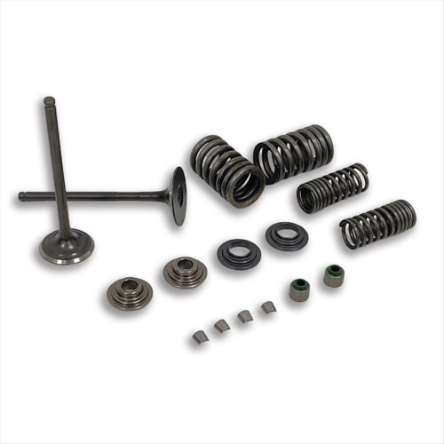 14711--910 Engine Valve Springs Inlet Intake Stem 1
