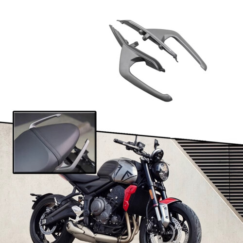 Rear Armrest Grab Bars Seat Pillion for Trident66 2