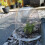 Wiederverwendbare Garten Pflanzen Cloche, Dome Glocke Plas 5