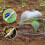 Wiederverwendbare Garten Pflanzen Cloche, Dome Glocke Plas 3