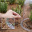 Wiederverwendbare Garten Pflanzen Cloche, Dome Glocke Plas 4