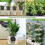 3 Inch Net Cup Hydroponic Tank, 50Pack Planting Ba 6