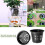 3 Inch Net Cup Hydroponic Tank, 50Pack Planting Ba 8