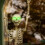 Halloween Led Glowing Eyes with Timer,2 Pcs Light 6