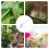 Magnifying Quick Release Worm Catcher Contactless 9