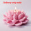 Simulation Lotus-Kerze-Silikon-Form-Blossom-Flow 7