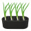 Lauch Pflanzer SeedlingStarter Tablette Regenerator 2