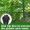 Black Plastic Wire Mesh Fence Roll - 15.7IN X 20FT 10