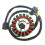 Stator Spule für DRZ400 DRZ400E DRZ400SM 32101-13E 1