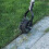 Wheel Rotary Edger,Adjustable Length Lawn Edger,St 7
