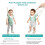 Adjustable Toddler Assistant, Baby Safety Support 5