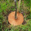 Blume Topf Matten Abschirmung Baum Zaun Anti-Unkraut-Dec 9