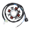 Generator Stator Coil for TTR230 TT-R230 2005-201 2