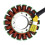 Generator Stator Coil for 125 200 ABS RC125 RC200 6
