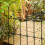 Garden Trellis for Climbing Plants Arch Decorative 5