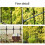 Garden Trellis for Climbing Plants Arch Decorative 6