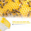 2PCS Queen Bee Marking Bottle Plastic One Handed C 5