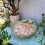 Ceramic Bird Bath Bowl Multifunctional Parrot Feed 3