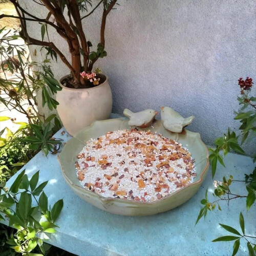 Ceramic Bird Bath Bowl Multifunctional Parrot Feed 2