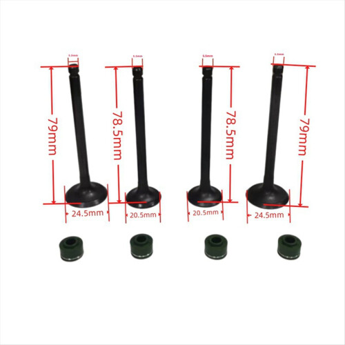 Engine Intake Exhaust Valves Kits for CA250 CMX25 2