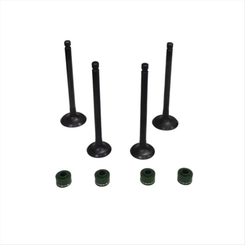 Engine Intake Exhaust Valves Kits for CA250 CMX25 1