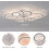 Modern Ceiling Fans with Lights,Acrylic Chandelier Dimmable Flush Mount 2