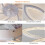 Ceiling Fans with Lights and Remote, Modern Dimmable LED 6