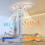 Modern Ceiling Fans with Lights,Acrylic Chandelier Dimmable Flush Mount 5