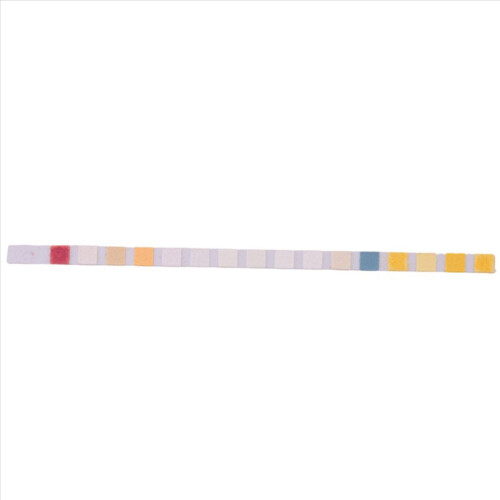 Water Testing Strips for Drinking Water- EPA Level, Water Test Strips 1