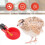 24Pcs Feed Automatic Bird Coop Poultry Chicken Fowl Drinker Water 5