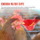 24Pcs Feed Automatic Bird Coop Poultry Chicken Fowl Drinker Water 4