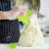 3 dough scrapers 5