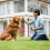 Handheld dog repeller with LED light Battery powered 3