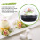 50 Pack Clear Plastic Mini Cupcake Container,for Mini Muffin Macaron 5